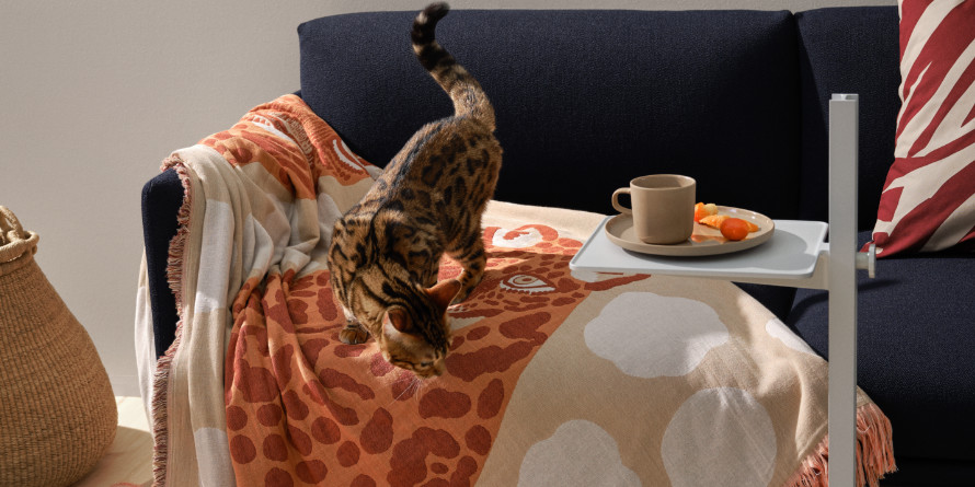 Into the wild - Animal Prints bei erkmann