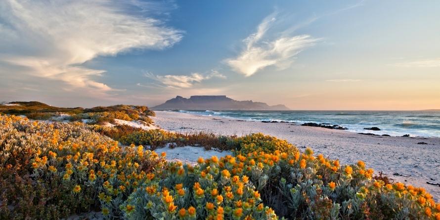 Cape Town Vibes bei erkmann