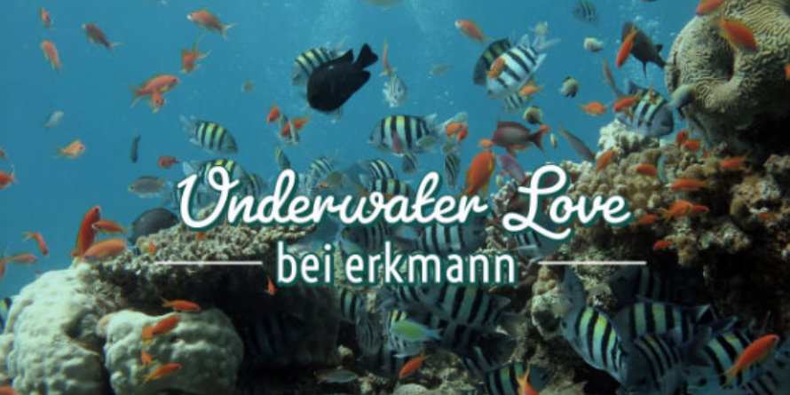 Underwater Love bei erkmann
